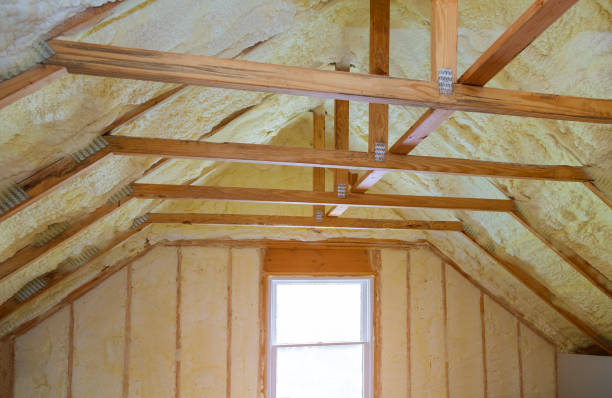 Best Geographic-Specific Insulation Services in Gibsonton, FL