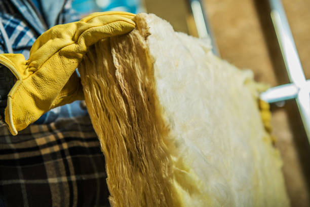 Professional Insulation Contractor in Gibsonton, FL