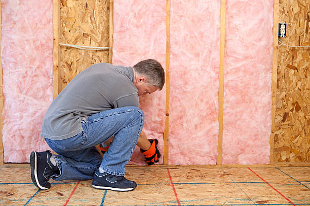Types of Insulation We Offer in Gibsonton, FL