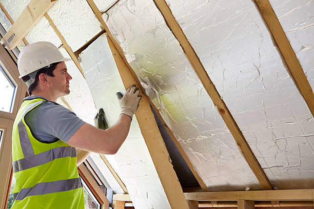 Best Residential Insulation in Gibsonton, FL