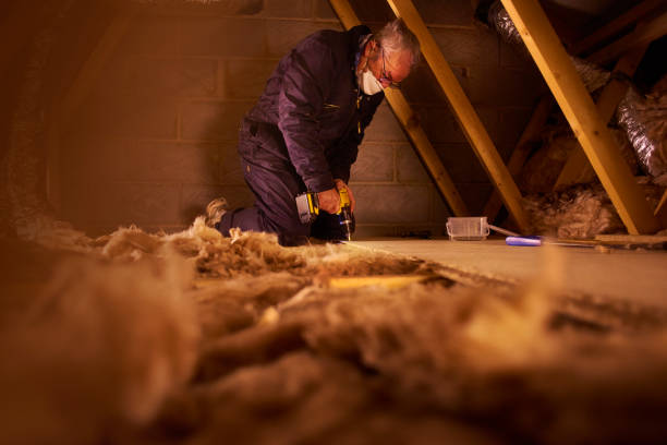 Best Commercial Insulation in Gibsonton, FL